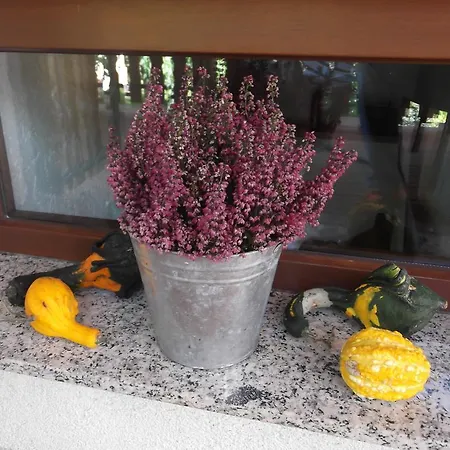 Διαμέρισμα Amselgarten Lübben