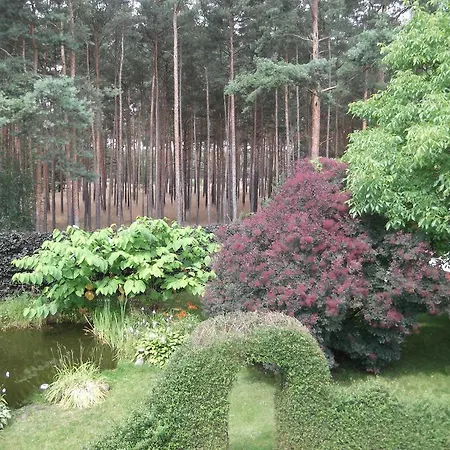 Amselgarten Apartment Lubben