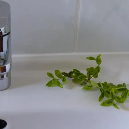 Lägenhet Amselgarten Lübben