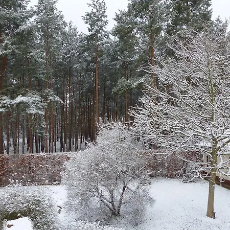 Apartmán Amselgarten *