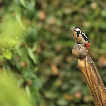 Διαμέρισμα Amselgarten Lübben