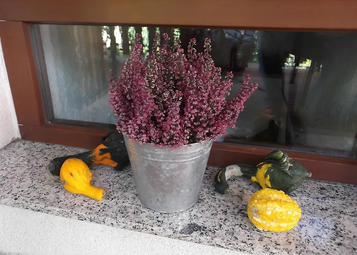 Apartamento Amselgarten Lübben