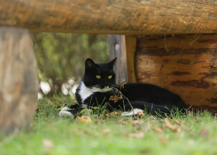 Apartamento Amselgarten